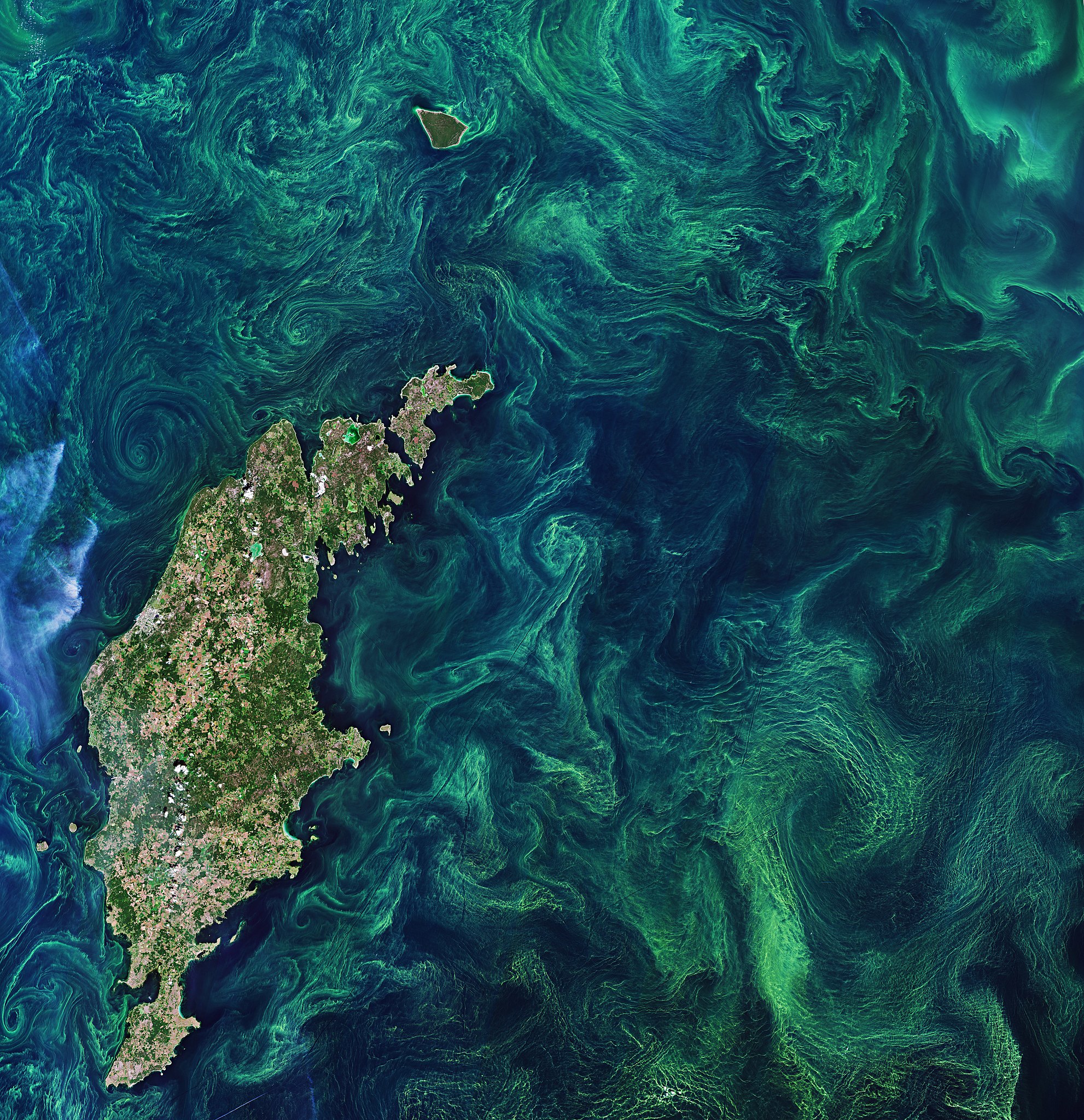 Green algae blooms in a sea, swirling around an island